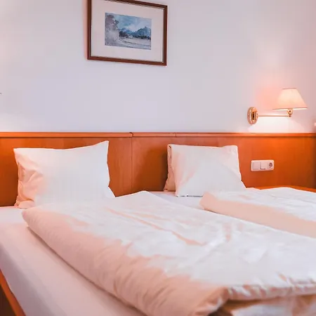 Rauscher Und Paracelsus Hotel