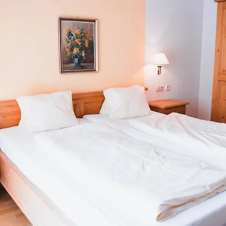Rauscher Und Paracelsus 3* Bad Hofgastein